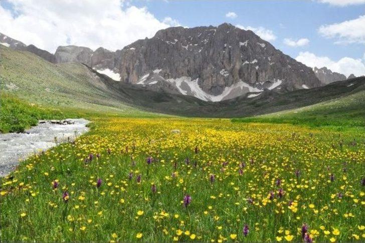 Munzur’un Eteklerinde Saklı Cennet G3