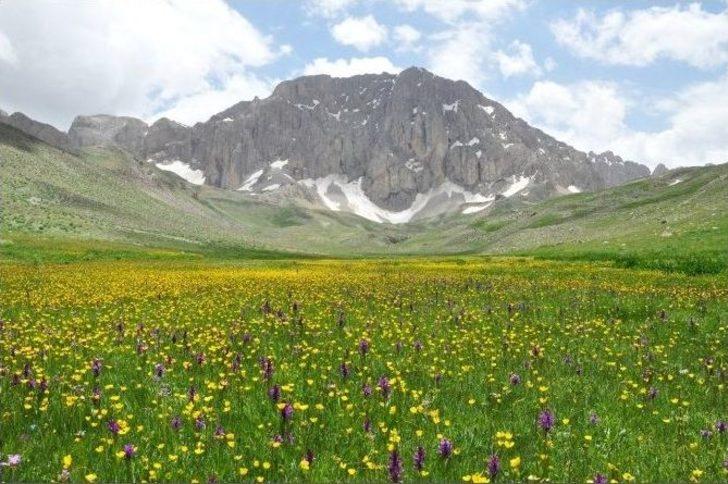 Munzur’un Eteklerinde Saklı Cennet G4