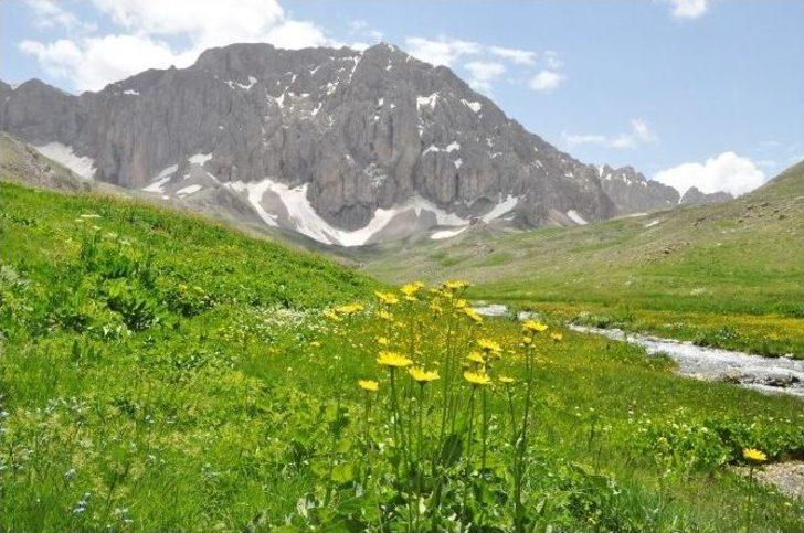 Munzur’un Eteklerinde Saklı Cennet G5