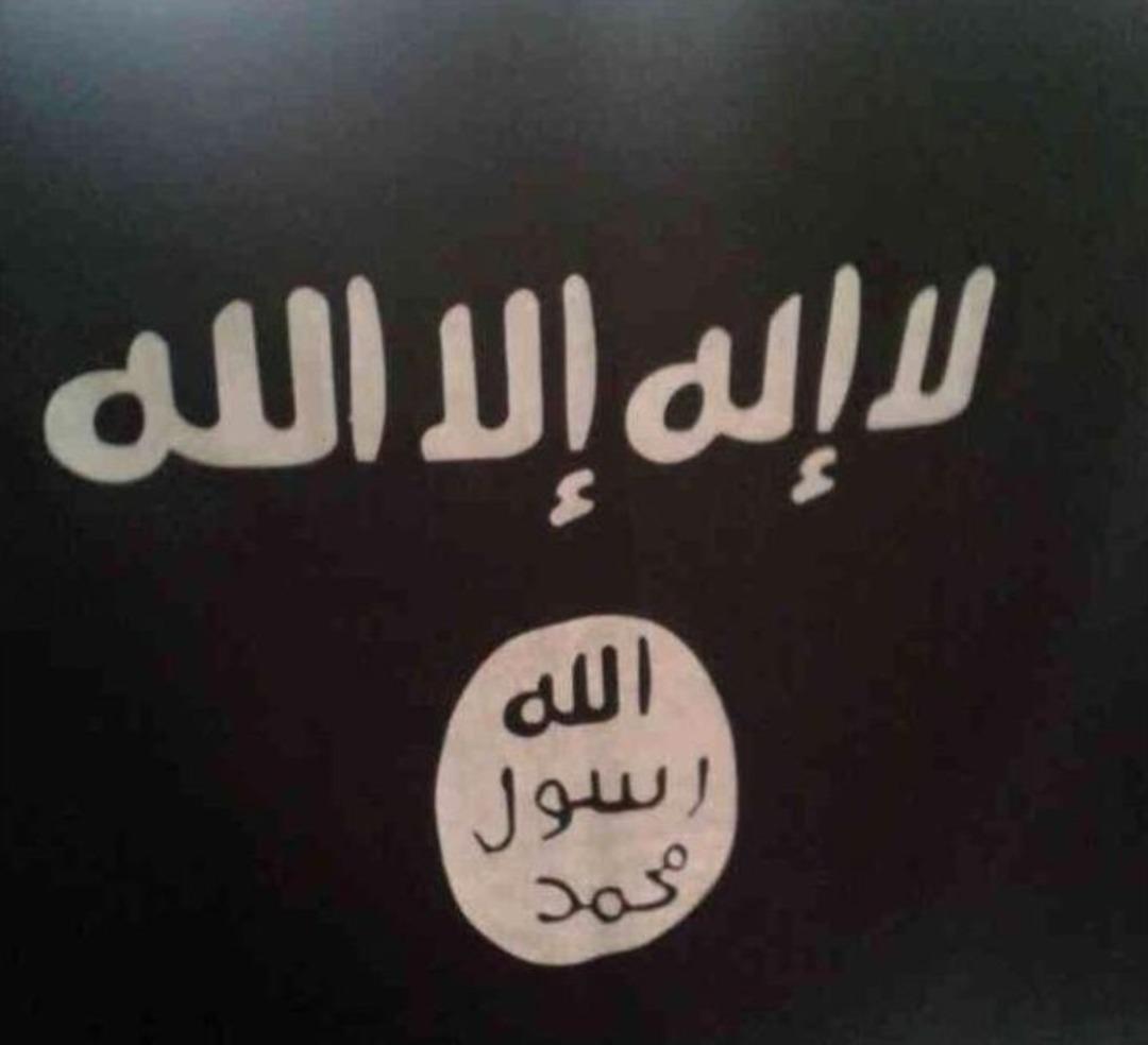 Işid Operasyonunda Yedi Kişi G&ouml;zaltına Alındı