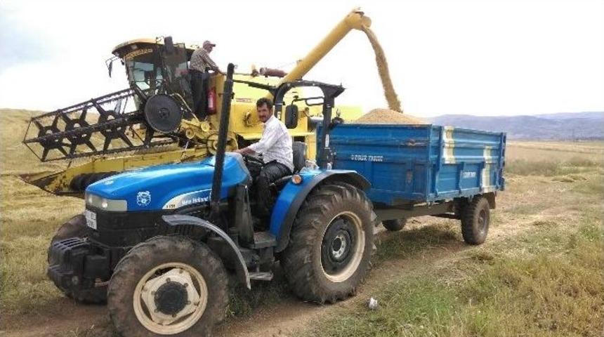 Kırıkkale&rsquo;de Arpa Ve Buğday Hasadına Başlandı