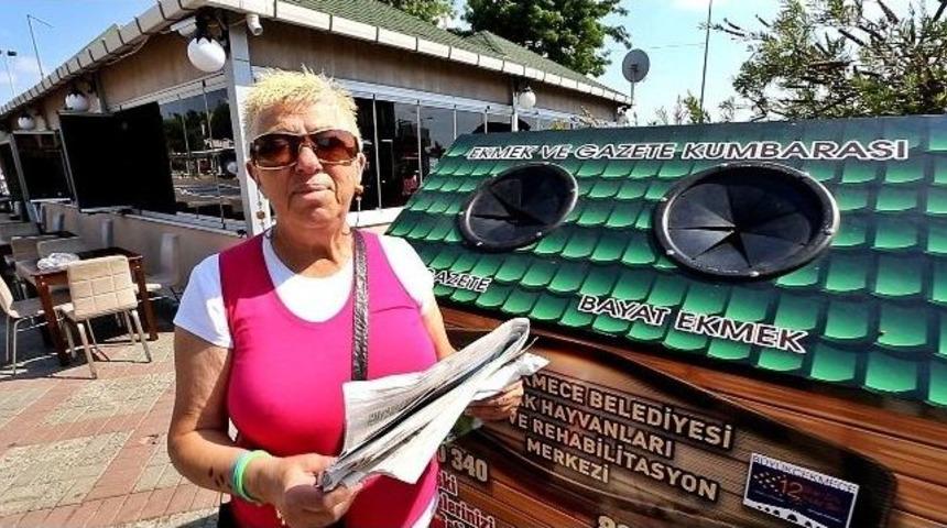 Büyükçekmece’de Köpekler İçin Örnek Uygulama