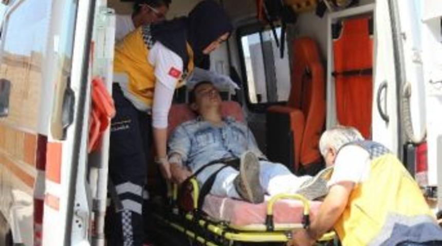 Bonzai İlleti Bitmiyor