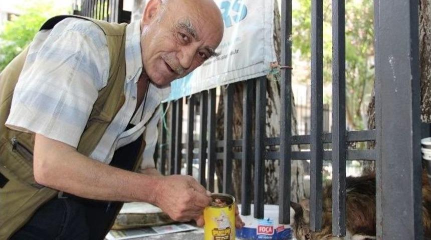 (&ouml;zel Haber) Depremden Kurtuldu Hayata Kedilerle Tutundu