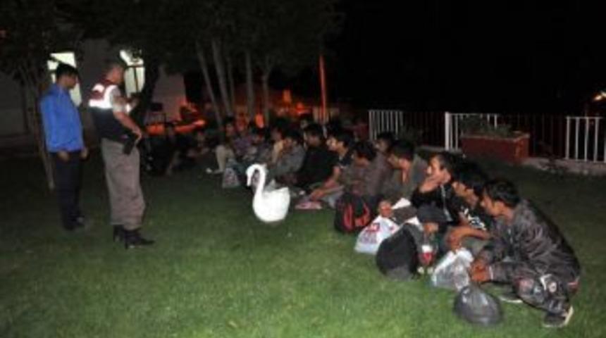 Illegal Migrants Caught In Gallipoli On The Way To Greece