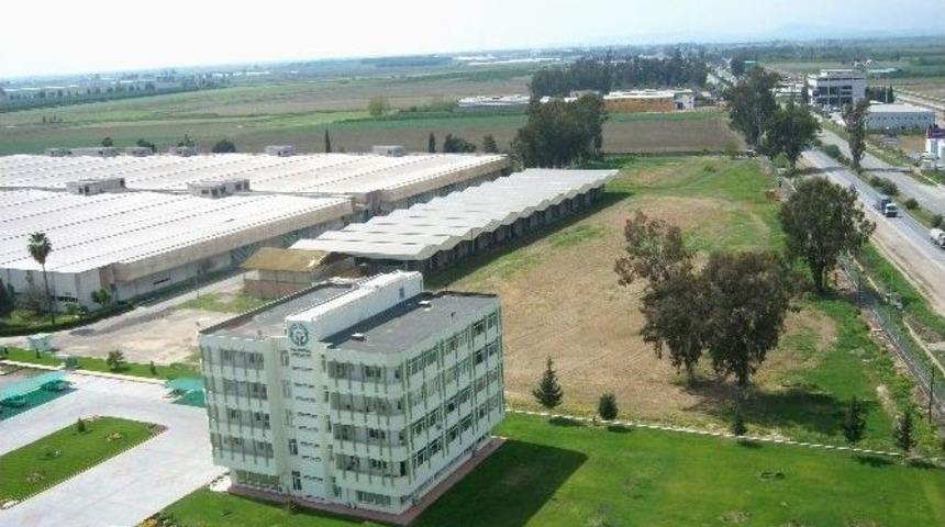 &Ccedil;ukurova&rsquo;da Uygulamalı Tarım Fuarı