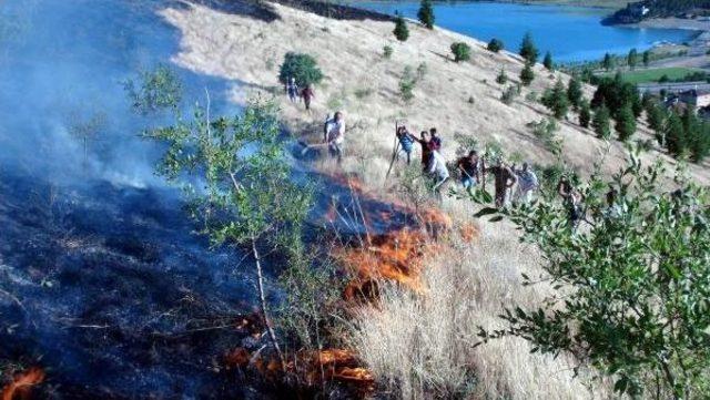 İtfaiye Araçları Giremedi Askerler Alevlere Kazma Kürekle Müdahale Etti