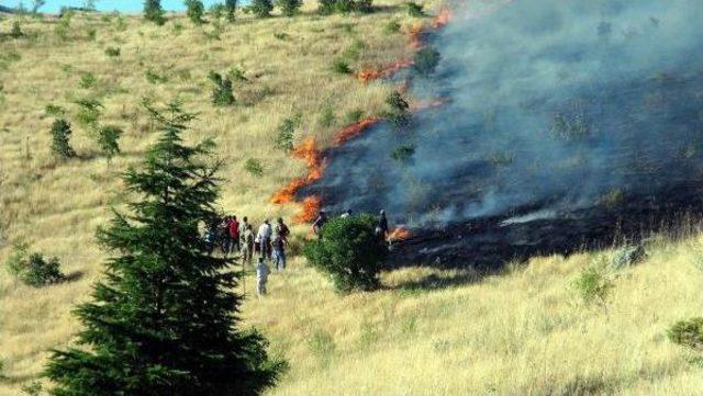 İtfaiye Araçları Giremedi Askerler Alevlere Kazma Kürekle Müdahale Etti