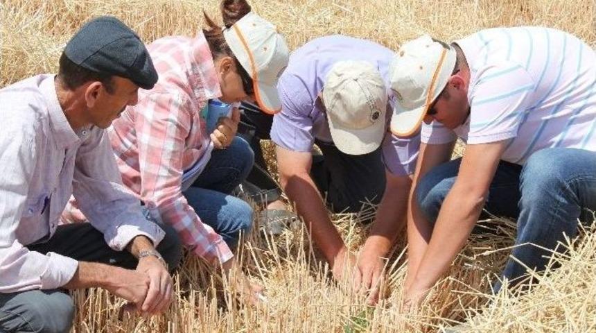 Niğde&rsquo;de Bi&ccedil;erd&ouml;ver Denetim Timleri Kuruldu