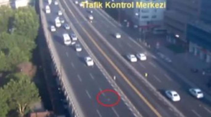 Seagull Causes Pileup In Central Istanbul