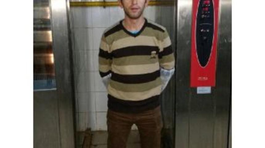 Ormanda D&ouml;v&uuml;ld&uuml;, 33 G&uuml;nl&uuml;k Yaşam Savaşını Kaybetti