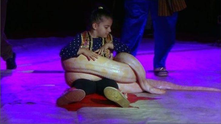 Dünyaca Ünlü Avrasya Sirki Nefes Kesti G2