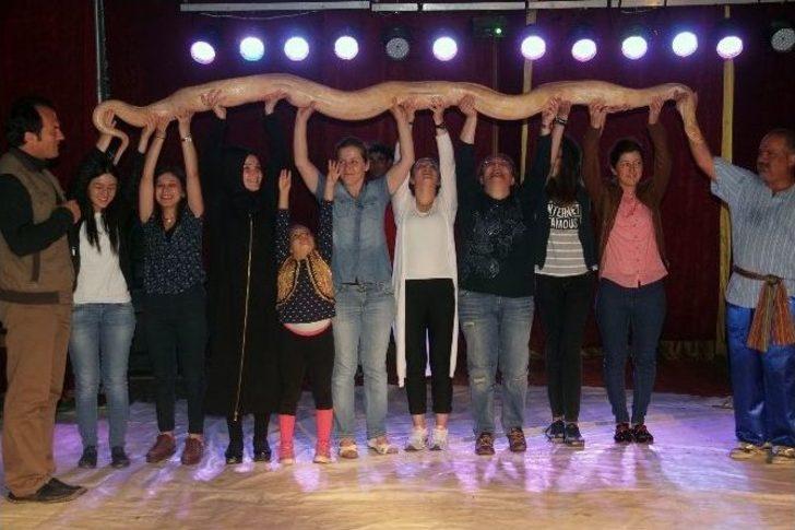 Dünyaca Ünlü Avrasya Sirki Nefes Kesti G4