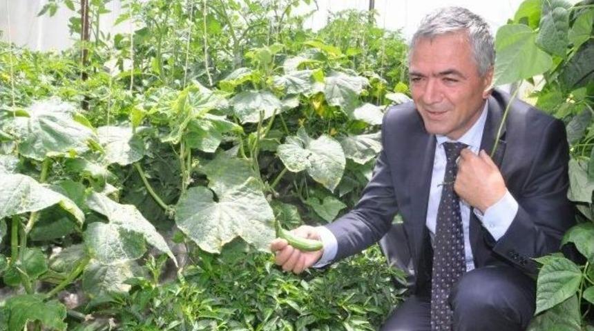 Yozgat&rsquo;ta Polis M&uuml;d&uuml;r&uuml; Hobi Bah&ccedil;esinde Sebze Yetiştiriyor