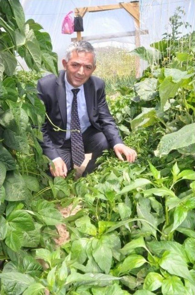 Yozgat’ta Polis Müdürü Hobi Bahçesinde Sebze Yetiştiriyor