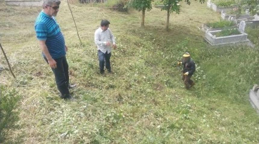 Yığılca&rsquo;da Mezarlıklar Temizleniyor