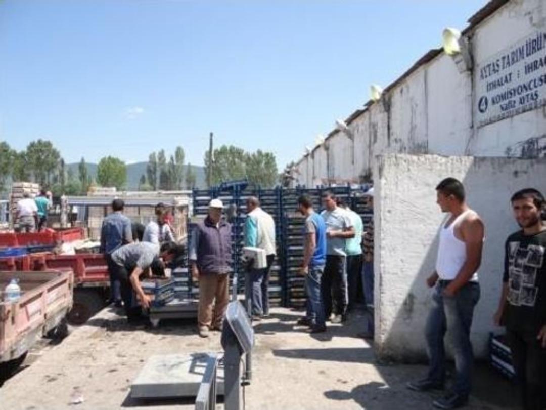 (&ouml;zel Haber) Ge&ccedil;en Sene 5 Tl Olan Napolyon Kirazı Bu Sene 1 Tl