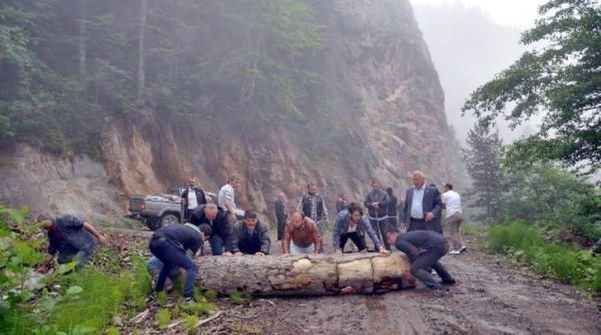 Artvin Cerattepe&rsquo;De M&uuml;cadele S&uuml;r&uuml;yor