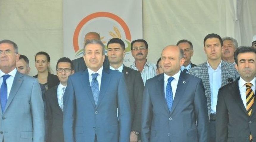 10 İldeki At Hastanelerinin Toplu A&ccedil;ılış T&ouml;reni Kocaeli&rsquo;de Yapıldı