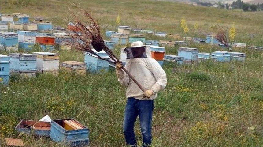 Yağmur Arıcıları Olumsuz Etkiledi
