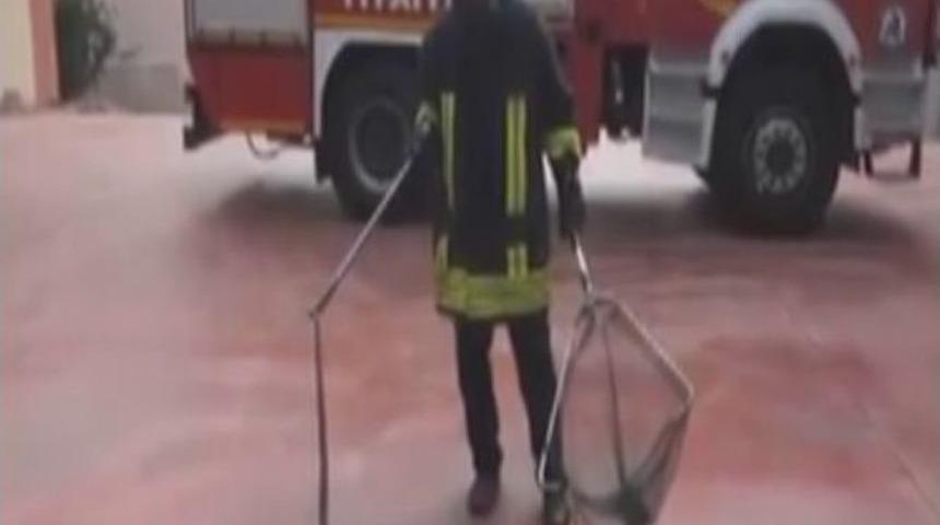 İtfaiyeden Vatandaşlara Yılan Yakalama Dersi