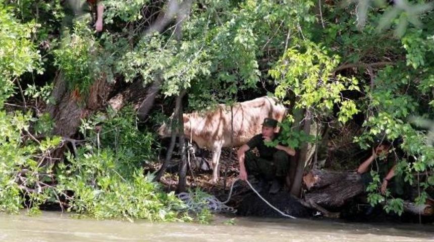 Ermenistan'a Ka&ccedil;an Inek, Protokolle Teslim Edildi
