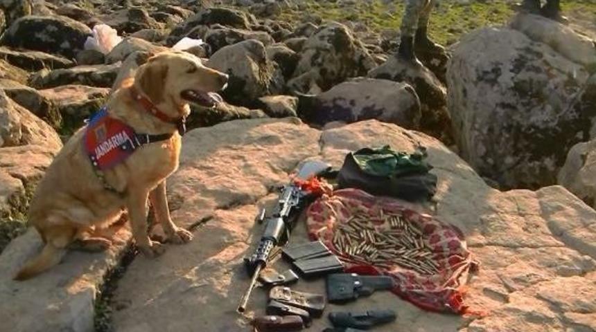 Diyarbakır'da 6 Ayda Ele Ge&ccedil;en Silahların Bilan&ccedil;osu