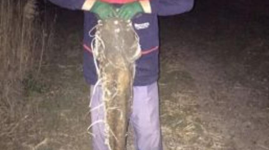 Amat&ouml;r Balık&ccedil;ı Kızılırmak&rsquo;da 30 Kiloluk Yayın Balığı Yakaladı