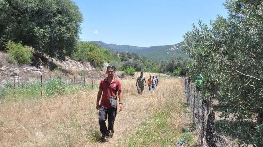 K&ouml;yceğiz&rsquo;de Komandolar Kaybolan Yaşlı Kadını Aradı