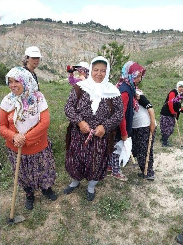 Bilecik Yenipazar’da Orman İşçileri Ayaklandı