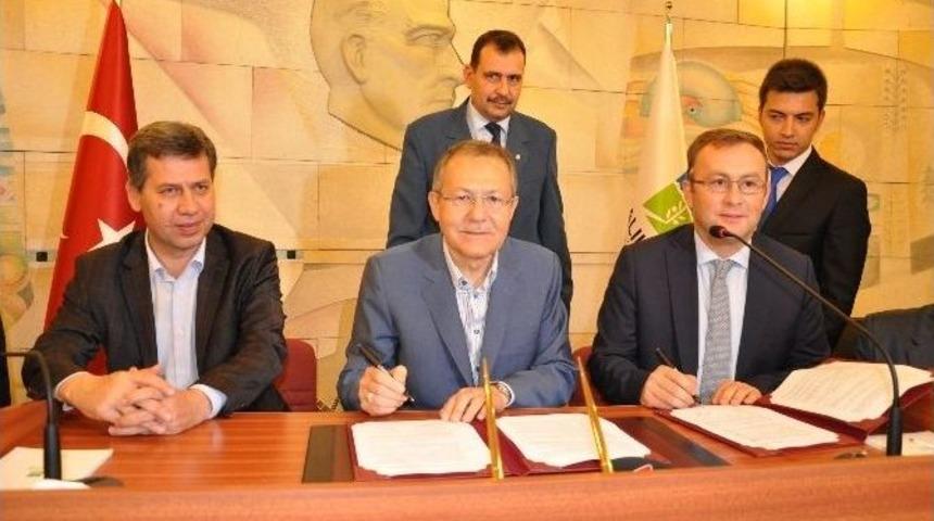 Zeytin &Ccedil;ift&ccedil;isinin Y&uuml;z&uuml; G&uuml;lecek