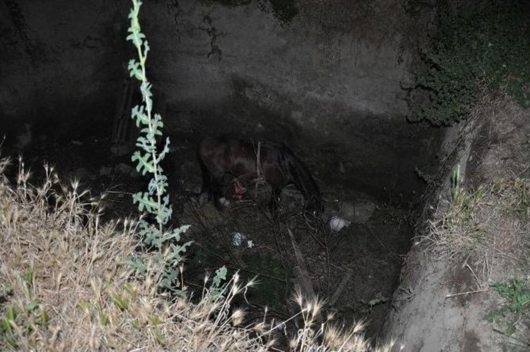 Bir &Ccedil;ukurdan &Ccedil;ıkarıldı Diğer &Ccedil;ukura D&uuml;şt&uuml;