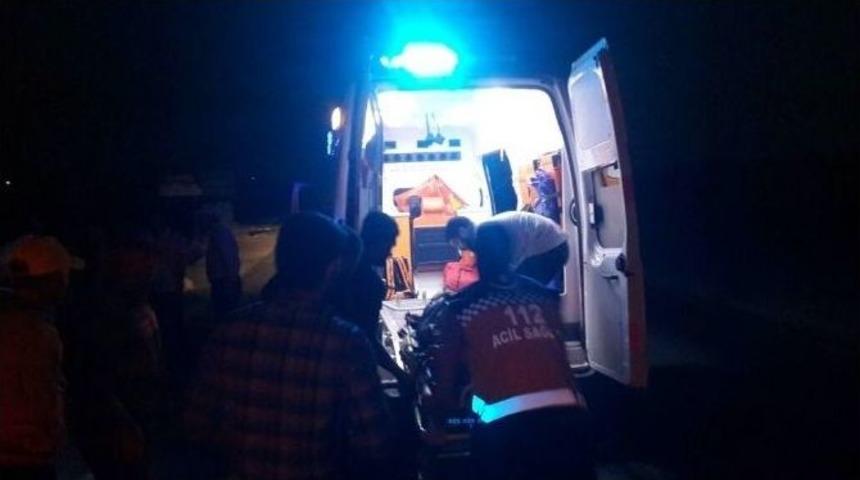 Midyat&rsquo;ta Kamyon Eşeğe &Ccedil;arptı: 1 &Ouml;l&uuml;, 1 Yaralı