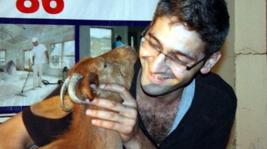 (&ouml;zel Haber) K&ouml;pek Yerine Oğlak Besliyor, Aracında Bile Onunla Seyahat Ediyor