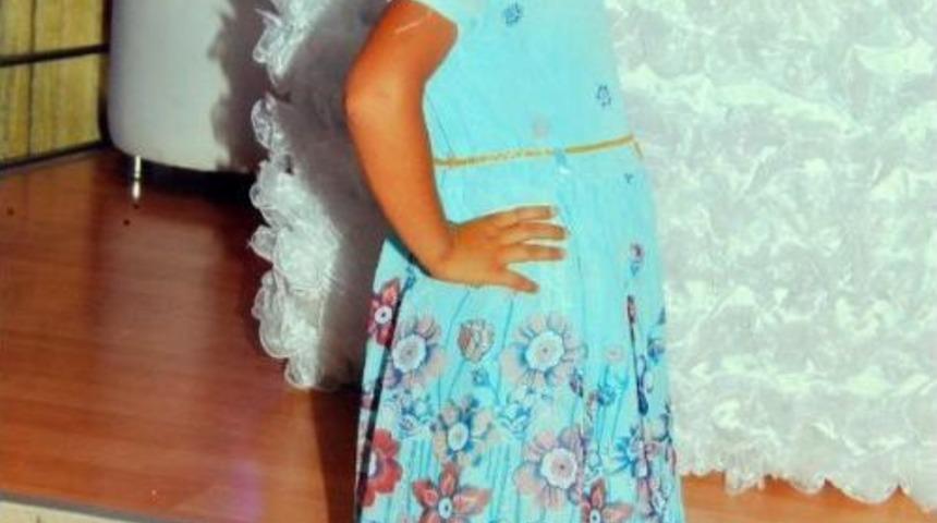 İkizleri Sineklik Ayırdı