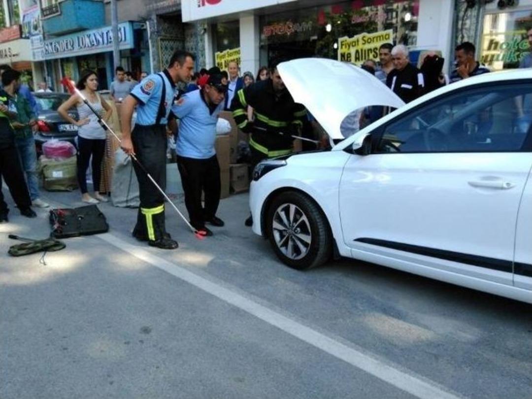 K&uuml;tahya&rsquo;da Otomobilin Motoruna Giren Yılanı Kurtarma Operasyonu
