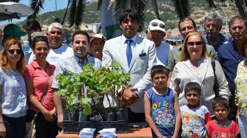 Fo&ccedil;a&rsquo;nın Antik Meyvesi Yeniden Yetişecek