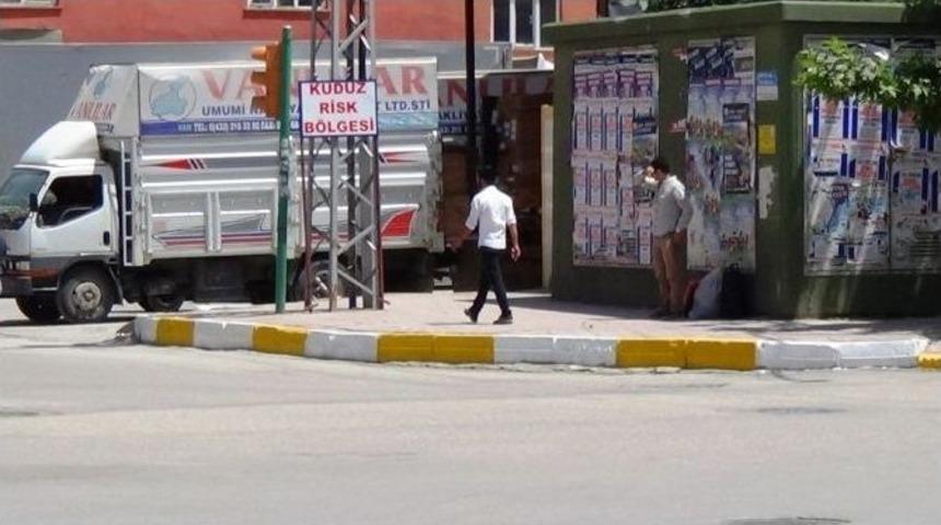 Van’da Kuduz Köpek Saldırılarının Ardından