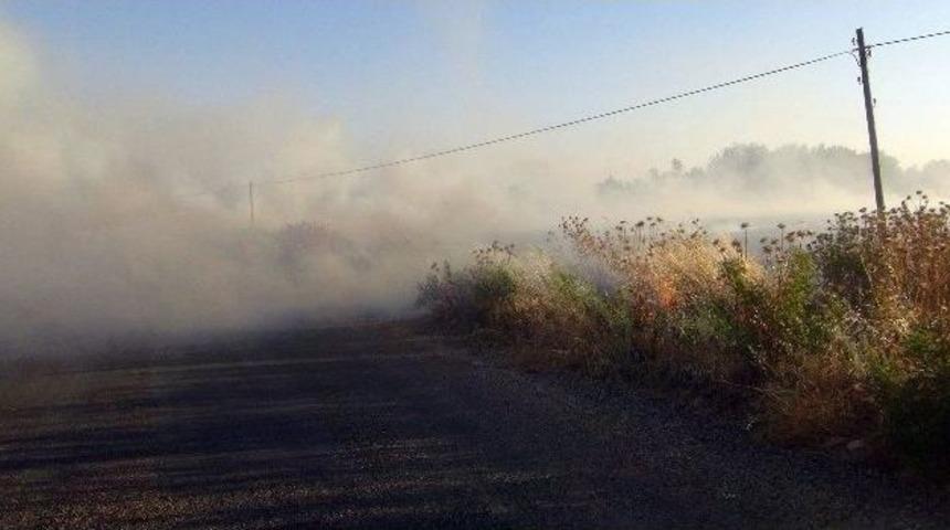 Işid, Koalisyon U&ccedil;aklarının Keşif Yapmasını Engellemek İ&ccedil;in Yangın &Ccedil;ıkarıyor