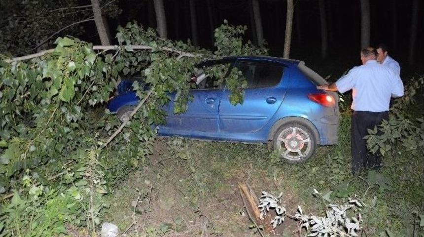 Otomobil Tarlaya U&ccedil;tu: 1 Yaralı