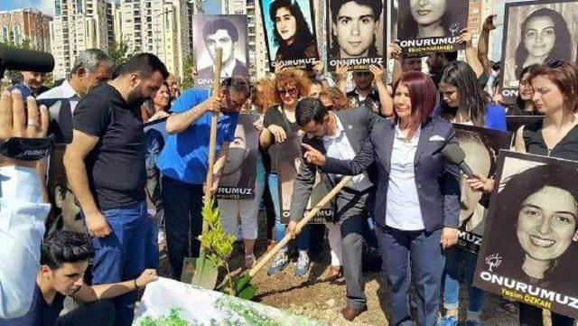 Sivas'ta Katledilen 35 Aydın Adına İstanbul'da '2 Temmuz Hatıra Ormanı'