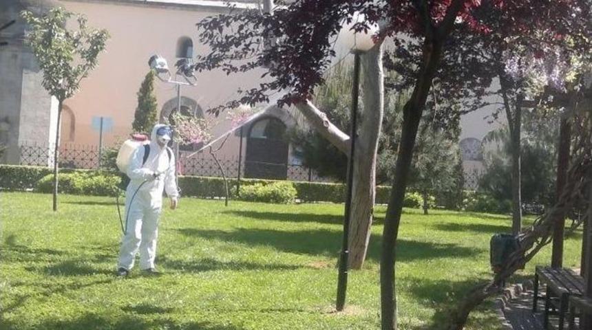 Ortahisar, Yeşile B&uuml;r&uuml;nd&uuml;