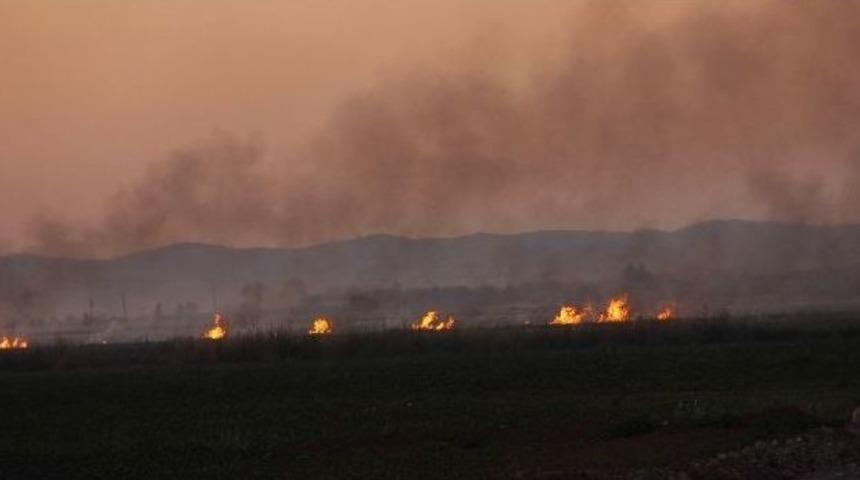 Şanlıurfa&rsquo;da Anız Yangınlarının &Ouml;n&uuml;ne Ge&ccedil;ilemiyor