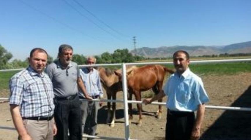 İl M&uuml;d&uuml;r&uuml; &Ccedil;olakoğlu&rsquo;ndan &Ccedil;iftlik Ziyareti