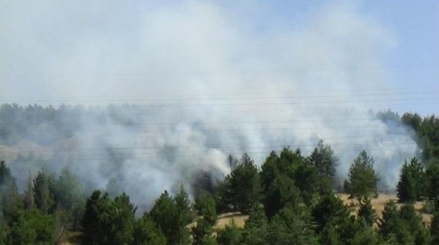 Elazığ&rsquo;da Orman Yangını
