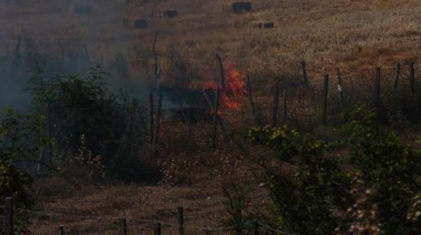 Bayrami&ccedil;'te Tarım Arazisinde Yangın