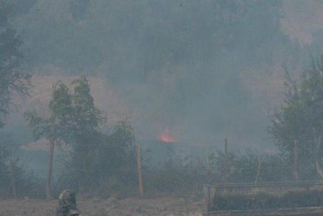 Bayramiç'te Tarım Arazisinde Yangın