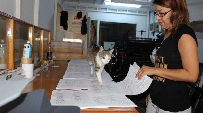 Pakize Nank&ouml;r &Ccedil;ıkmadı