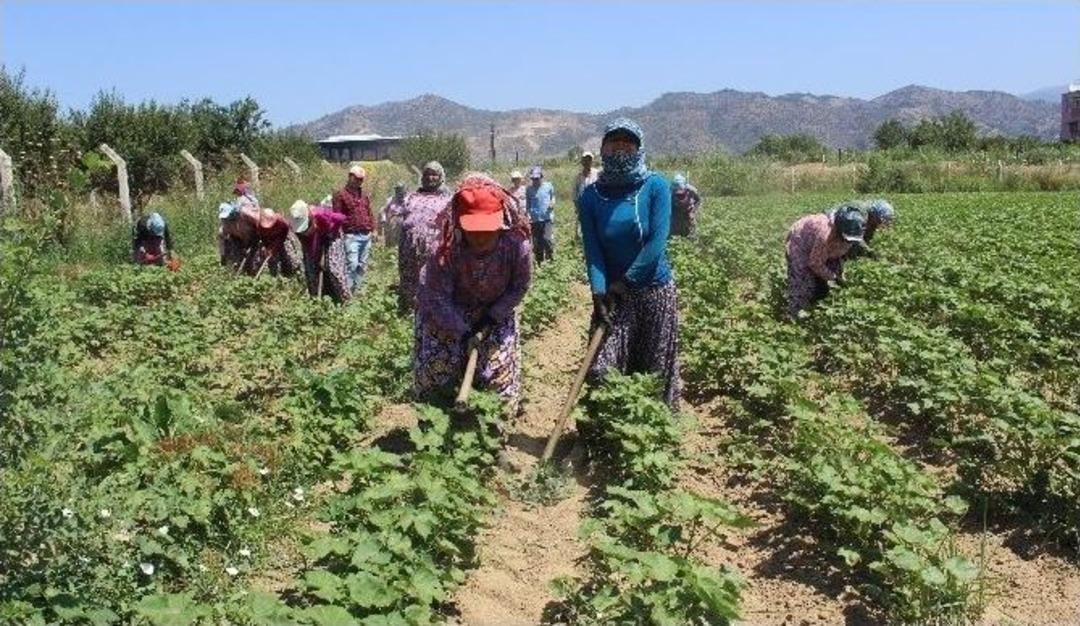 Bu Da &Ouml;teki Aydın