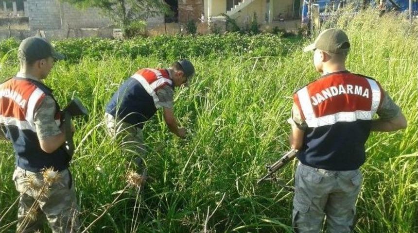 Kırıkhan&rsquo;da Uyuşturucuyla M&uuml;cadele